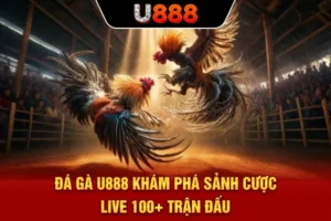 Đá Gà U888 | Khám Phá Sảnh Cược Live 100+ Trận Đấu