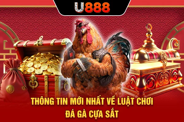 Thông tin mới nhất về luật chơi đá gà cựa sắt
