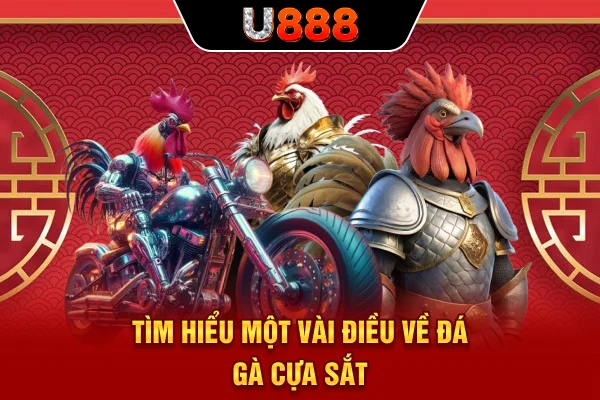 Tìm hiểu một vài điều về đá gà cựa sắt